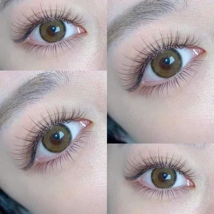 Nối mi Katun / mi lụa / mi thỏ